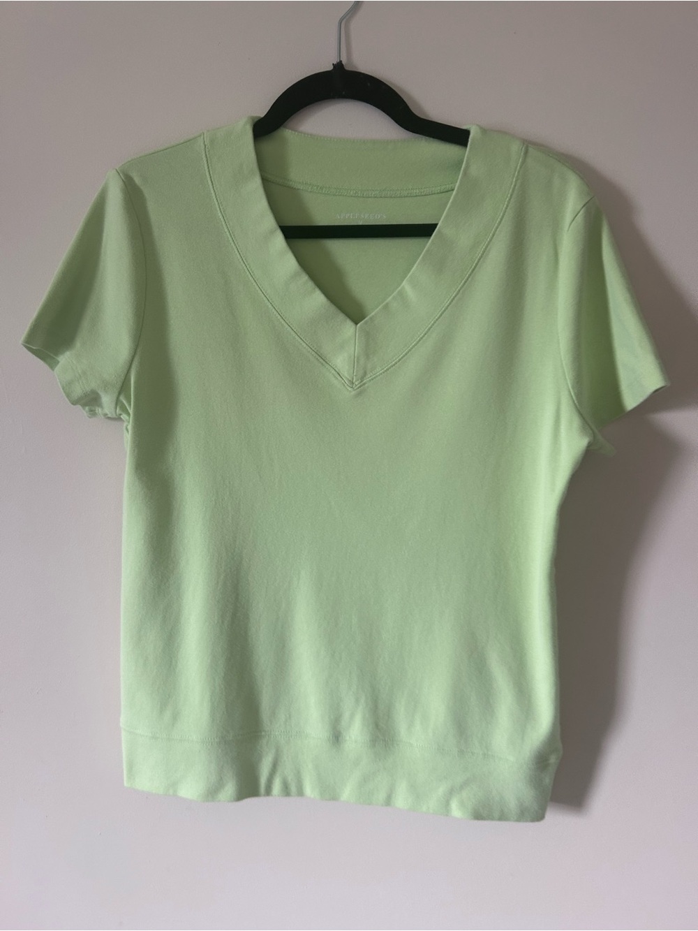 Vintage Appleseed’s Pastel Sage Green Short Sleeve V-Neck Top Cotton, Size M